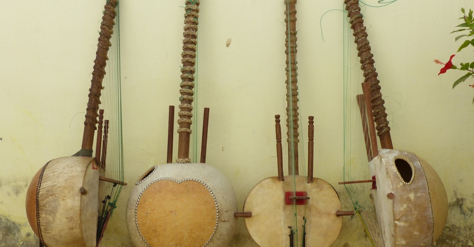 Malian Stringed Instruments